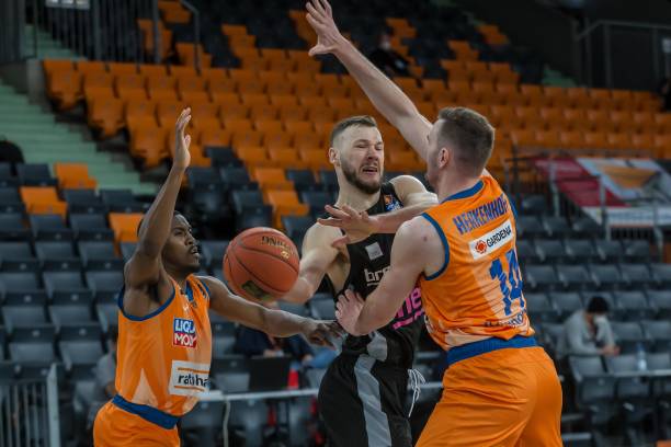 季数据的仔 季数据的仔